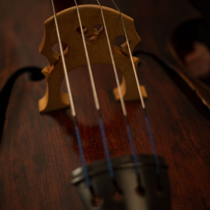 Conductors • Classic Violin Olympus · International Competition